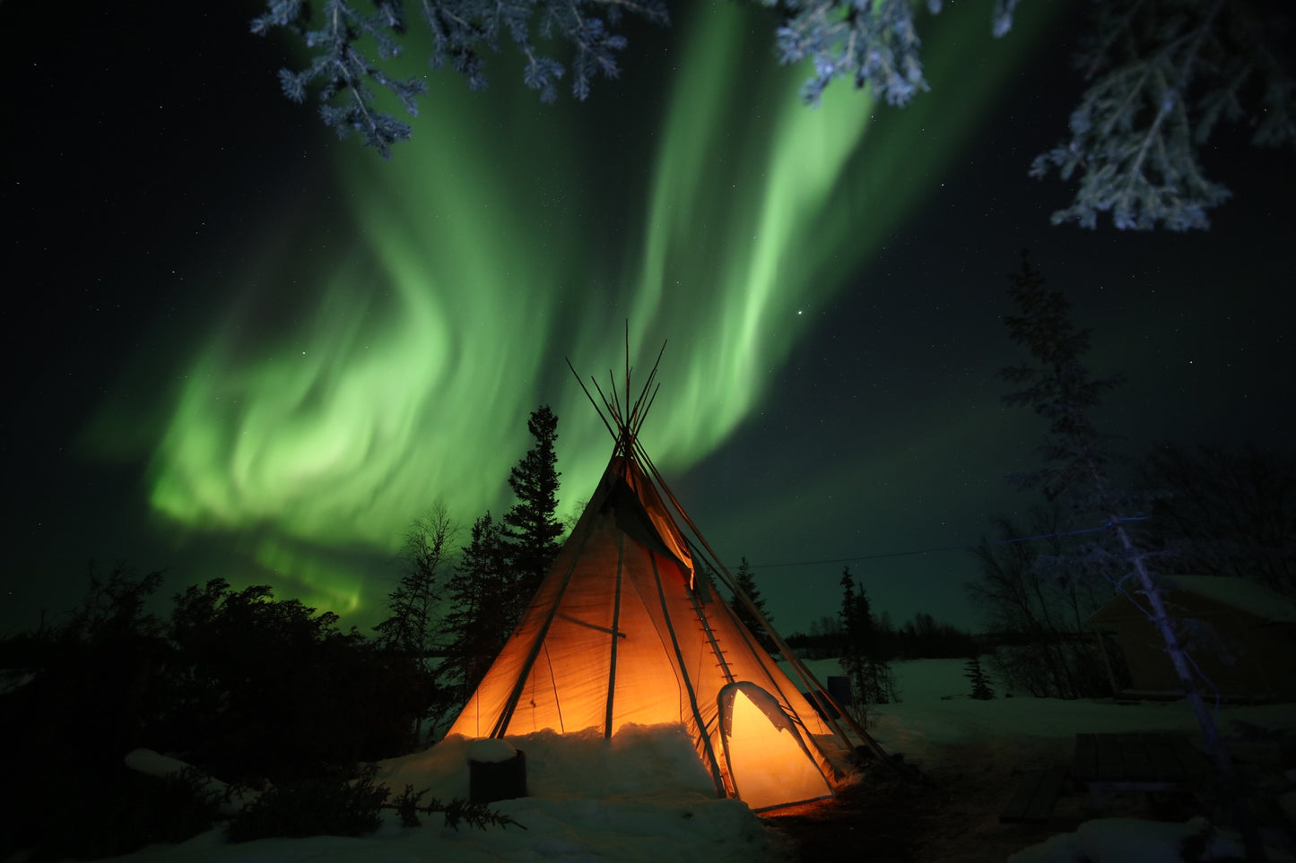 AURORA VIEWING IN BOTH DREAM CABIN & ABORIGINAL TIPI TOURS