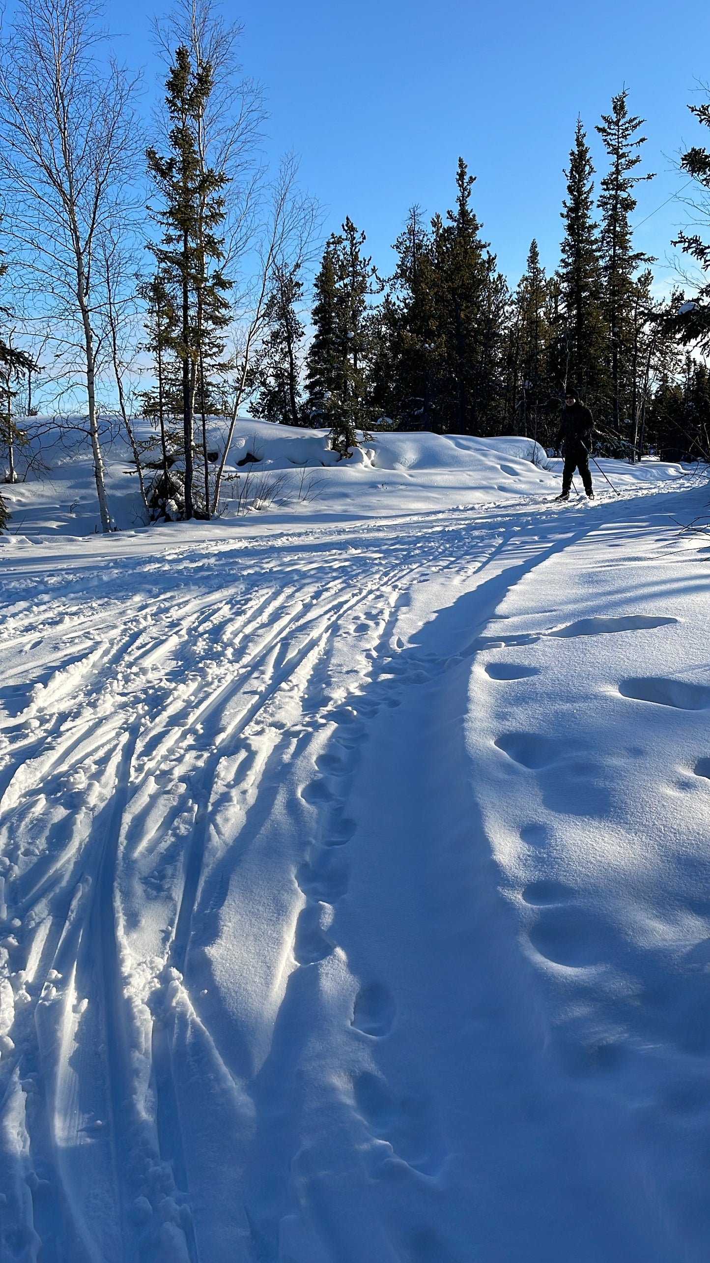 WINTER SKIING